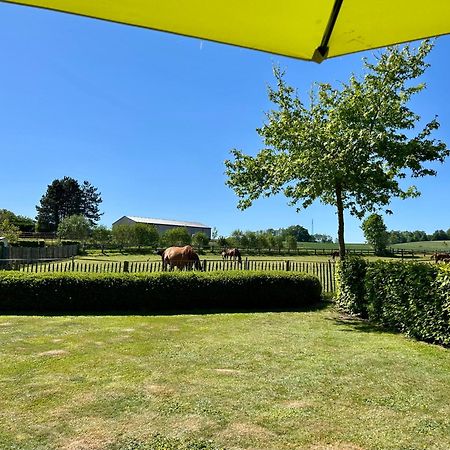 Au Coeur Des Collines, Gloriette Villa Ellezelles Eksteriør billede