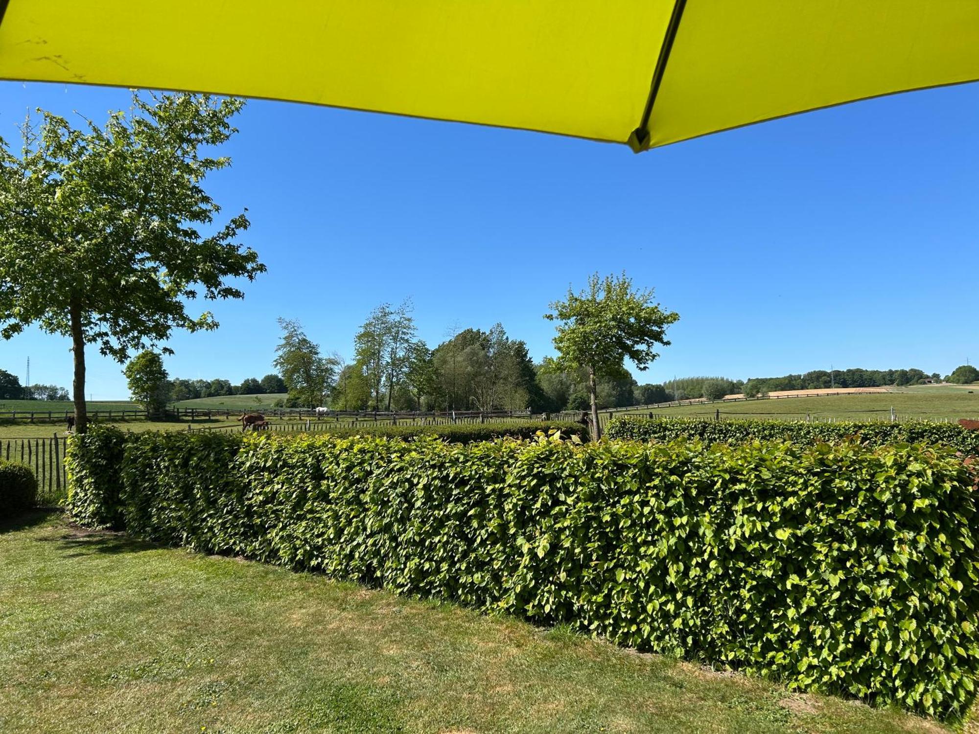Au Coeur Des Collines, Gloriette Villa Ellezelles Eksteriør billede